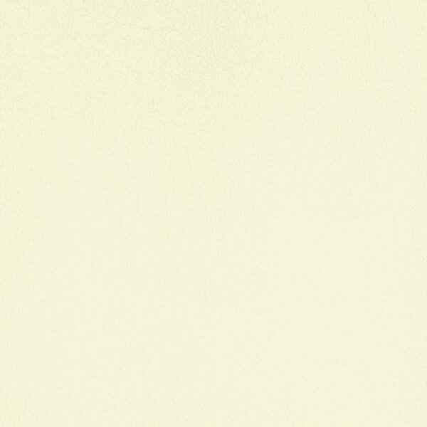 Upholstery Vinyl - Pacifica Standard
