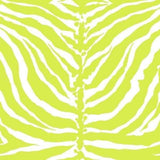 Florence Broadhurst Tiger Stripe