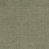Warwick Delray PISTACHIO Upholstery Fabric