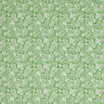 Warwick Mccrae Monstera