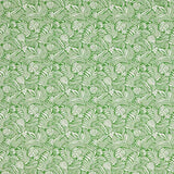 Warwick Mccrae Monstera
