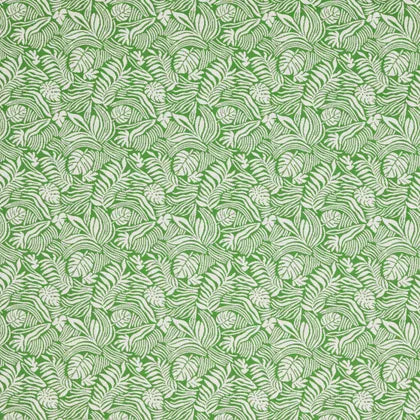 Warwick Mccrae Monstera