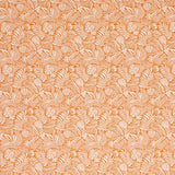 Warwick Mccrae Orange Pattern of white leaves on an orange background.