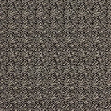 Warwick Temba Zebra pattern fabric texture in black and white