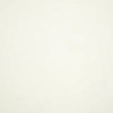 Sunbrella Canvas White 57003-0000 image 0