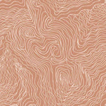 Jimmy Pike Topography