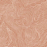 Jimmy Pike Topography