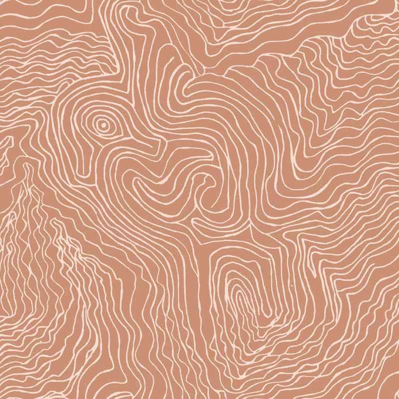 Jimmy Pike Topography