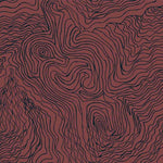 Jimmy Pike Topography