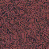 Jimmy Pike Topography