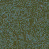 Jimmy Pike Topography