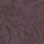 Jimmy Pike Topography
