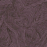 Jimmy Pike Topography