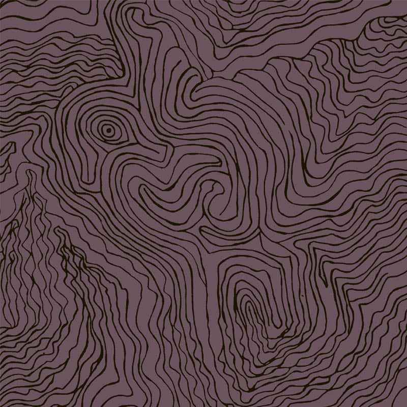 Jimmy Pike Topography