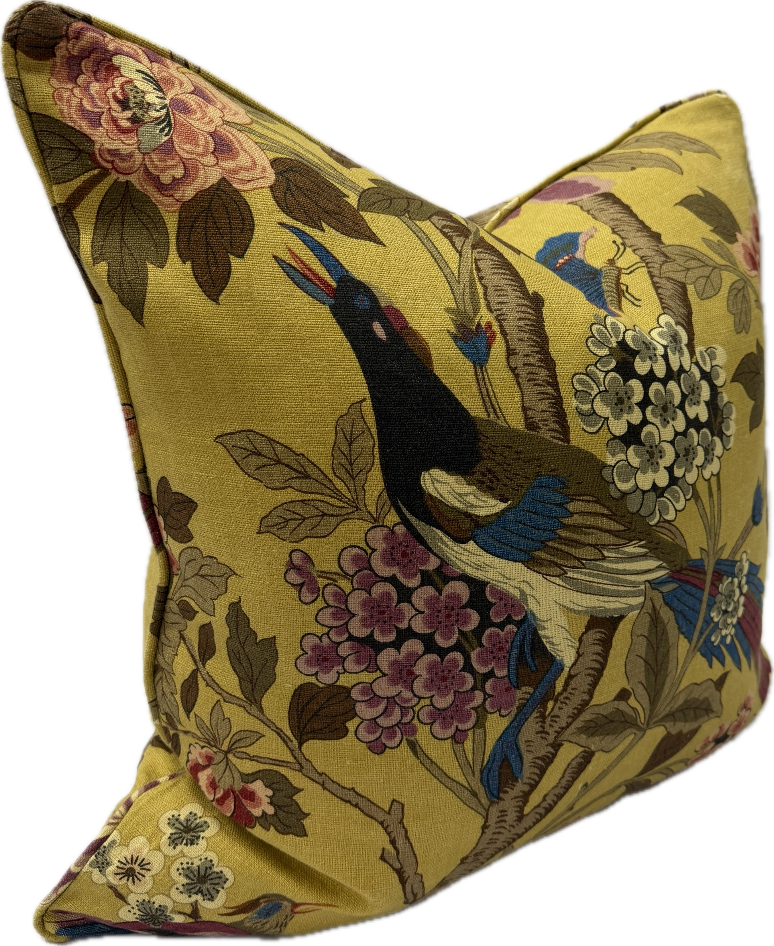 ochre cushion Hydrangea
