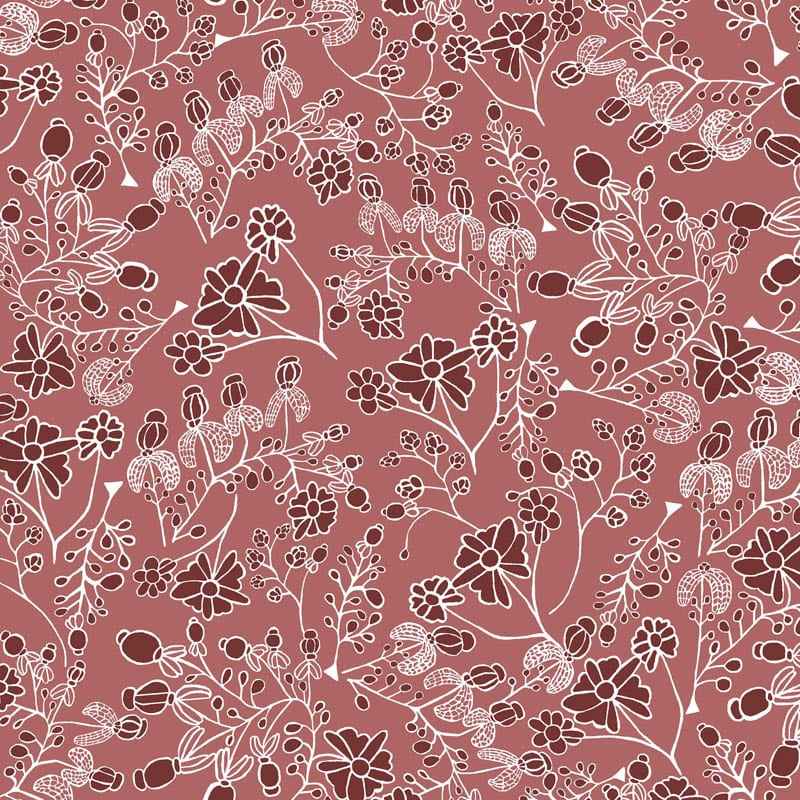 Jimmy Pike Desert Rose