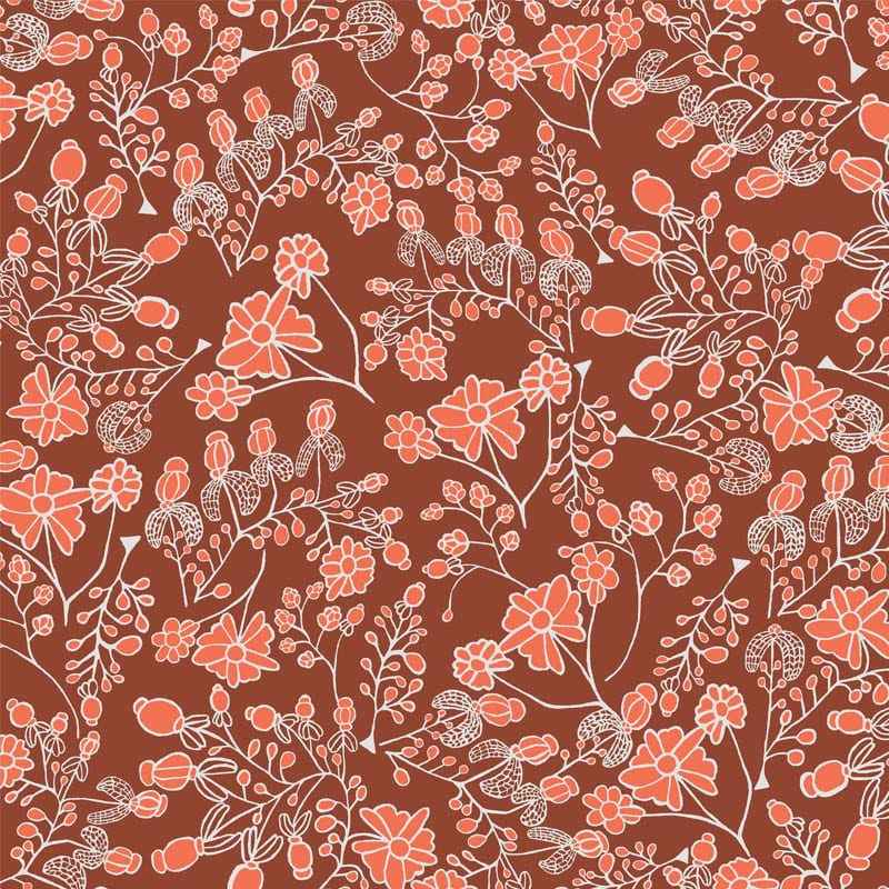 Jimmy Pike Desert Rose