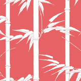 Florence Broadhurst Bamboo Hawaii