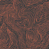 Jimmy Pike Topography
