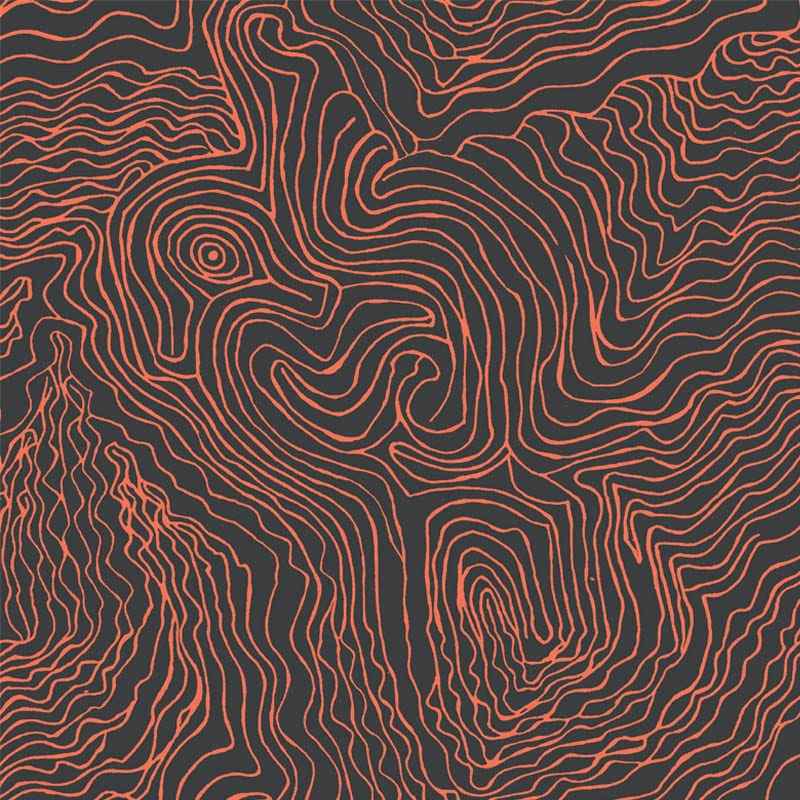 Jimmy Pike Topography