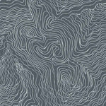 Jimmy Pike Topography