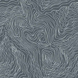 Jimmy Pike Topography