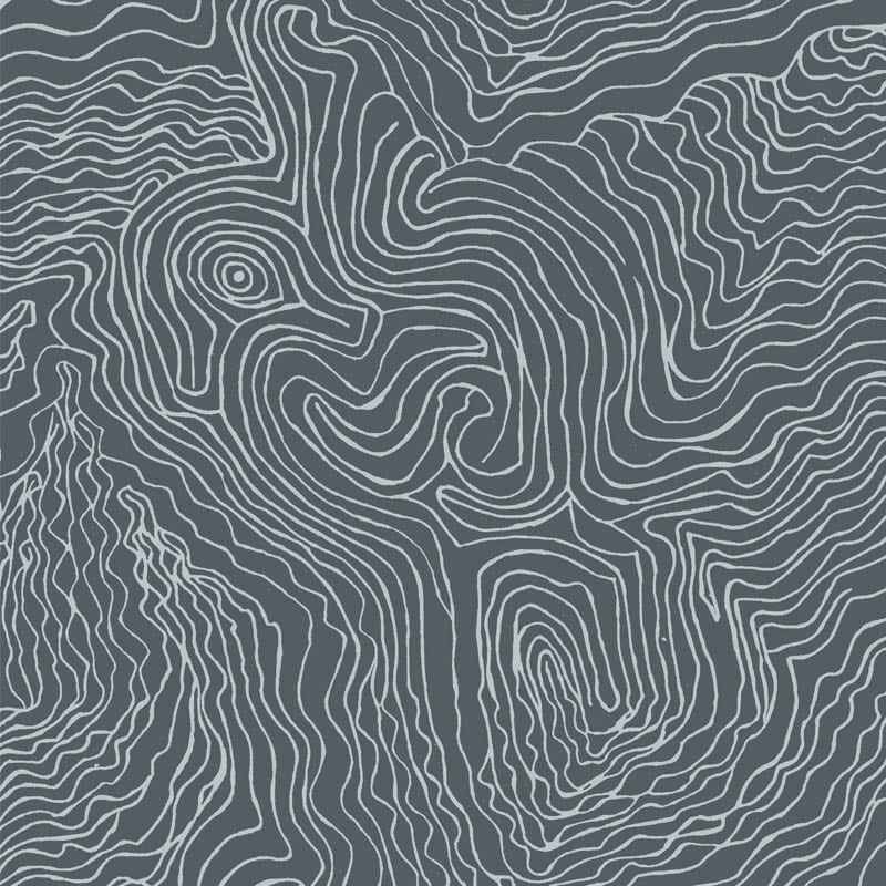 Jimmy Pike Topography