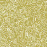 Jimmy Pike Topography