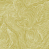 Jimmy Pike Topography