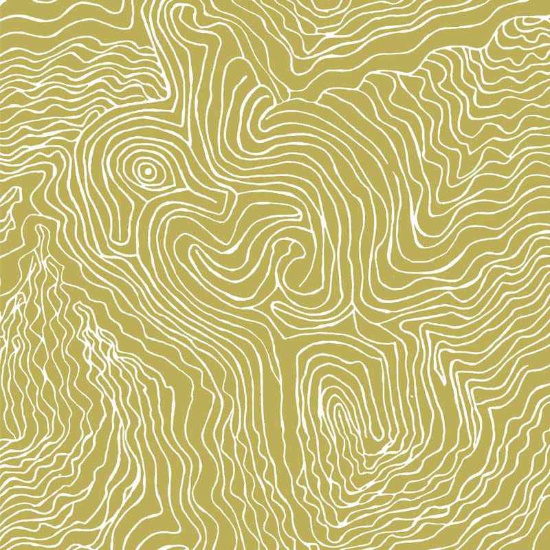 Jimmy Pike Topography