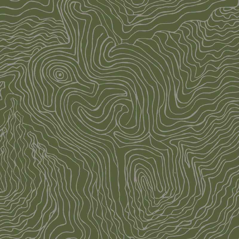 Jimmy Pike Topography