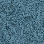 Jimmy Pike Topography