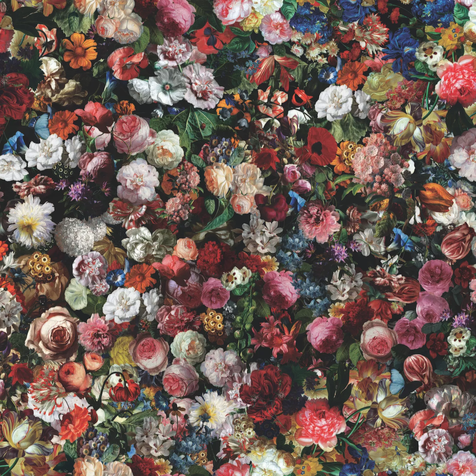 Warwick Fabrics - Flowerbomb Velvet