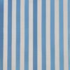 Outdoor Upholstery Fabric Blue & White Stripe